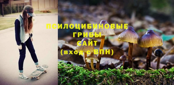 ешки Алзамай